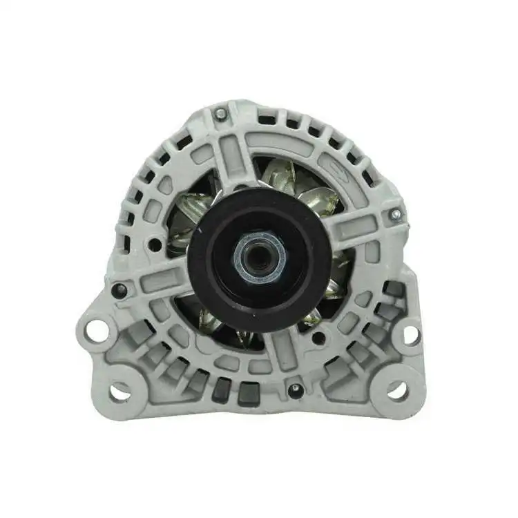 Alternator (305.517.090.010)