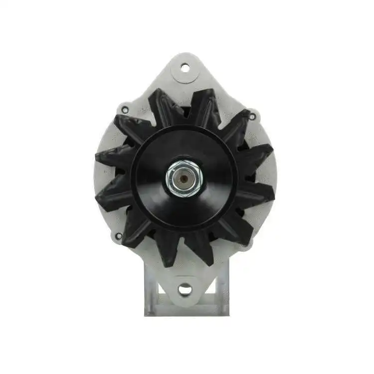 Alternator (135.807.070.415)