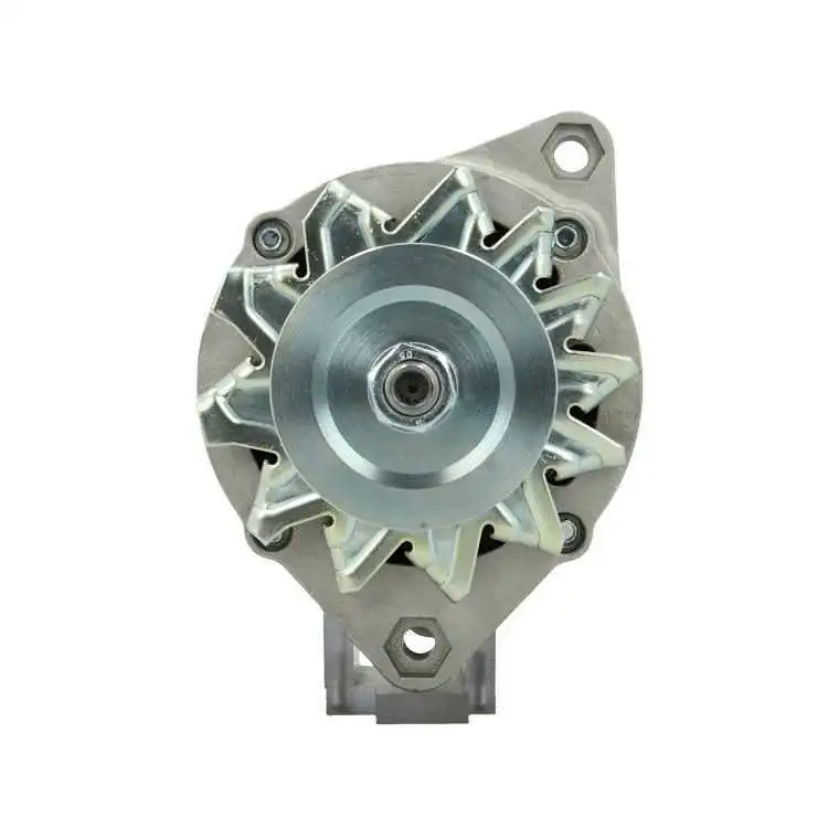 Alternator (755.003.065.311)