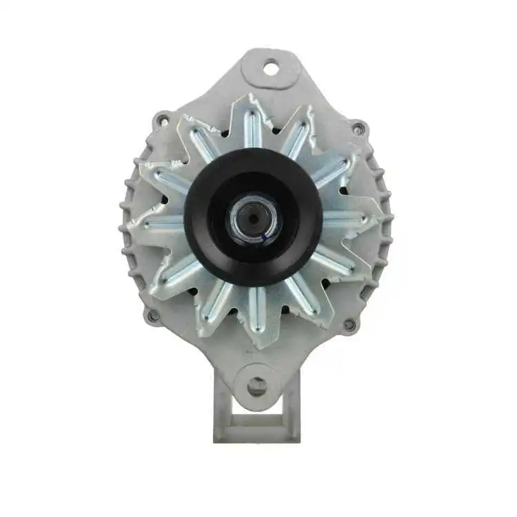 Alternator (136.009.080.080)