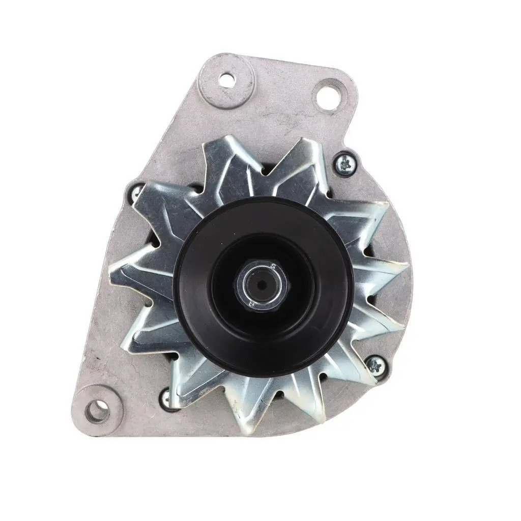 Alternator (205.010.065.018)