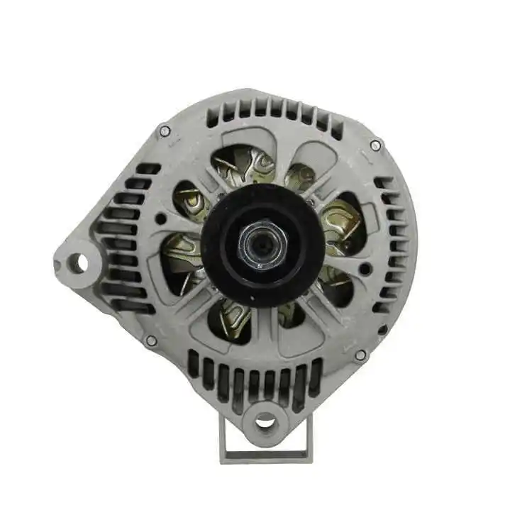 Alternator (455.507.120.000)