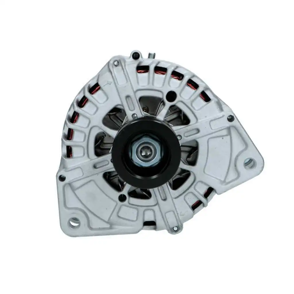 Alternator (555.596.220.008)