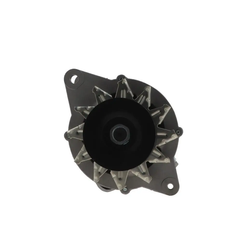 Alternator (165.823.060.088)