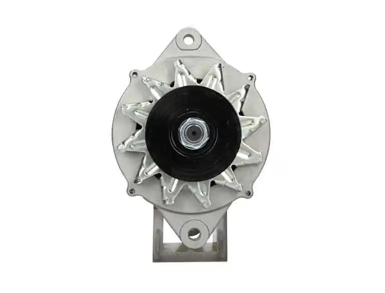 Alternator (165.810.070.080)