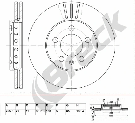 Brake Disc (BR 302 VA100)