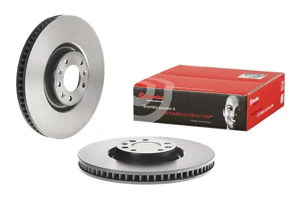 Brake Disc (25615 V)