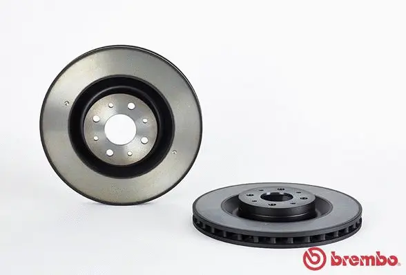 Brake Disc (25115 V)