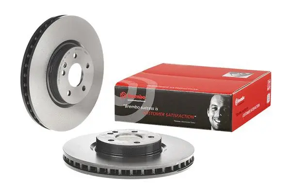 Brake Disc (25625 V)