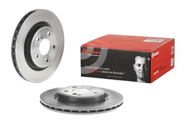 Brake Disc (25628 V)