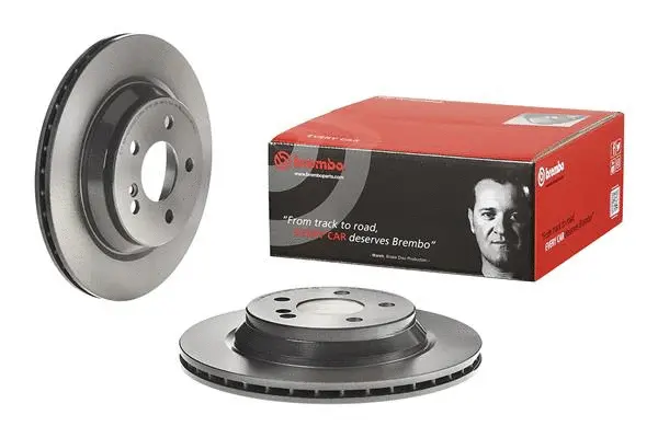 Brake Disc (25638 V)