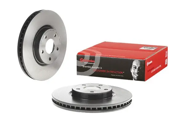 Brake Disc (25648 V)