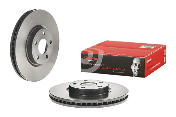 Brake Disc (25645 V)