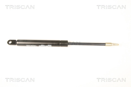 Gas Spring (8710 9002)