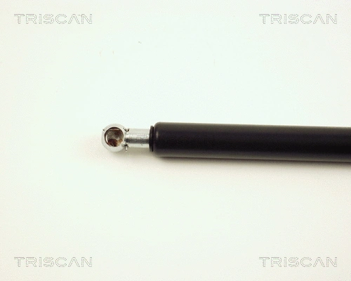 Gas Spring, boot/cargo area