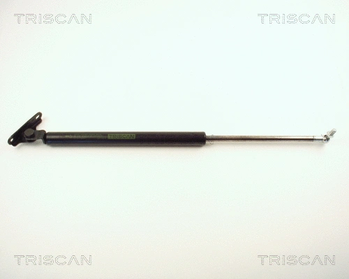 Gas Spring, boot/cargo area (8710 13254)