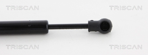 Gas Spring, boot/cargo area