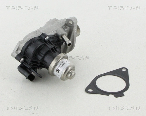 EGR Valve (8813 11007)