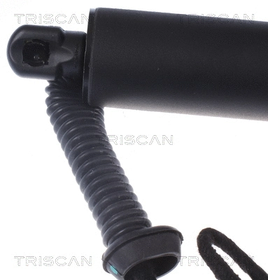 Gas Spring, boot/cargo area