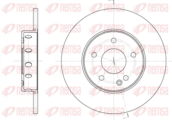 Brake Disc (6310 00)