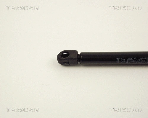 Gas Spring, boot/cargo area