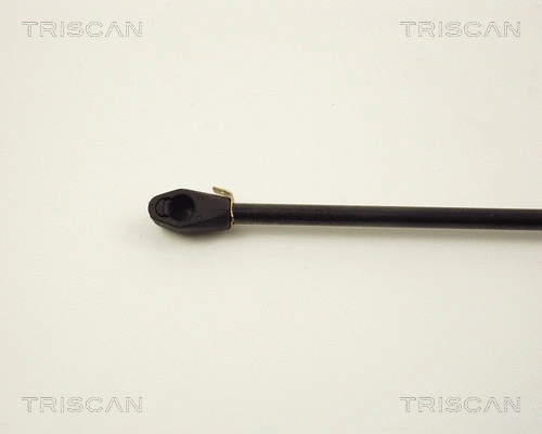 Gas Spring, boot/cargo area