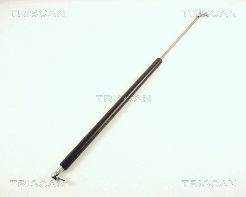 Gas Spring, boot/cargo area (8710 40202)