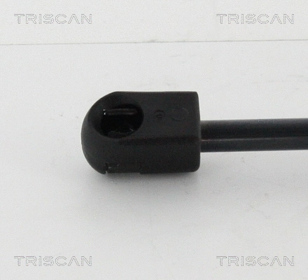 Gas Spring, boot/cargo area