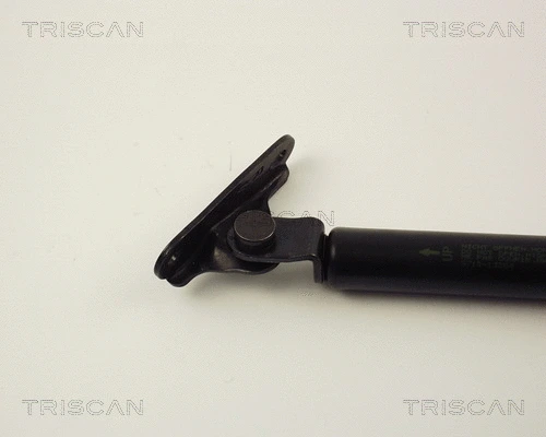 Gas Spring, boot/cargo area