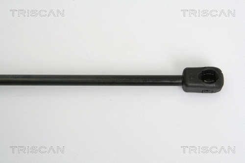 Gas Spring, boot/cargo area