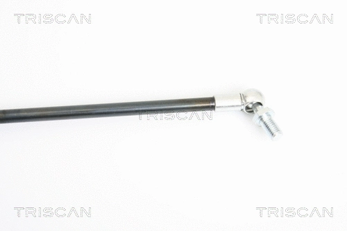 Gas Spring, boot/cargo area