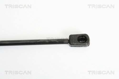 Gas Spring, boot/cargo area