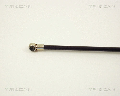 Gas Spring, boot/cargo area