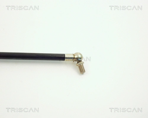 Gas Spring, boot/cargo area