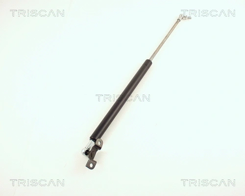 Gas Spring, boot/cargo area (8710 42209)