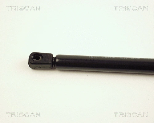 Gas Spring, boot/cargo area