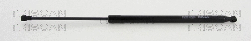 Gas Spring, boot/cargo area (8710 292019)