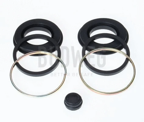 Repair Kit, brake caliper (203302)