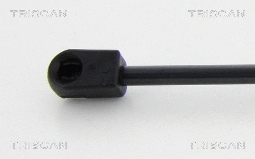 Gas Spring, boot/cargo area