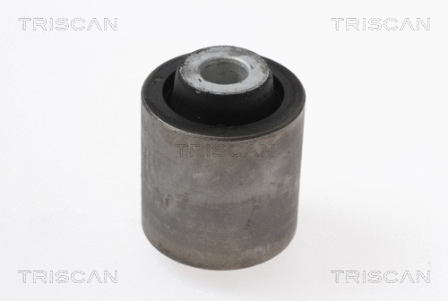 Mounting, control/trailing arm (8500 17825)