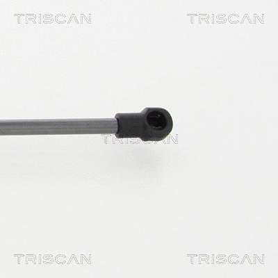 Gas Spring, boot/cargo area