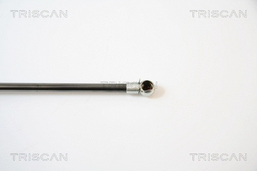 Gas Spring, boot/cargo area