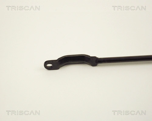 Gas Spring, boot/cargo area