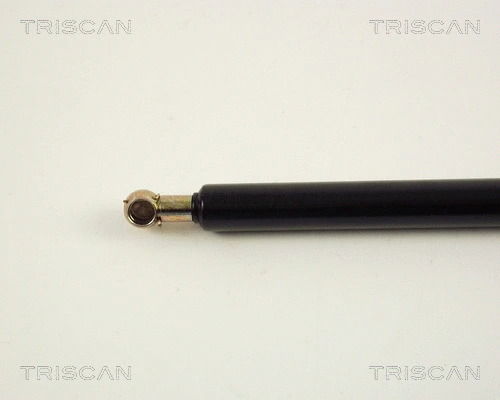 Gas Spring, boot/cargo area