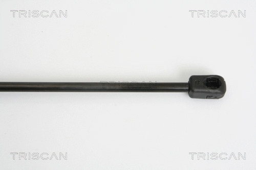 Gas Spring, boot/cargo area