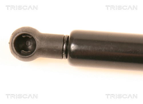 Gas Spring, boot/cargo area