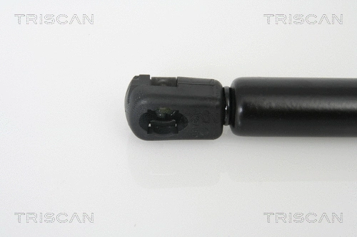 Gas Spring, boot/cargo area