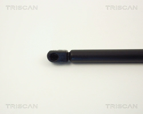 Gas Spring, boot/cargo area