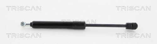Gas Spring, boot/cargo area (8710 292008)