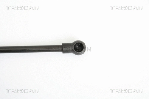 Gas Spring, boot/cargo area